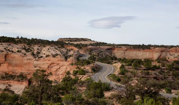 Strada Panoramica Circondata Montagne Roccia Rossa Nel Deserto Stagione Primaverile — Foto Stock