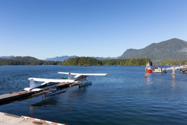Vancouver Adası 'ndaki Sunny Afternoon limanında rıhtım ve deniz uçakları. Yaz sezonu. Tofino, British Columbia, Kanada. Macera Yolculuğu.