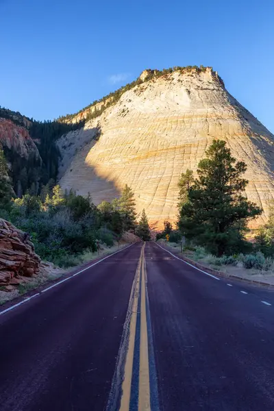 Scenic Road American Mountain Landscape Sunny Morning Sunrise Sky Zion — Stockfoto