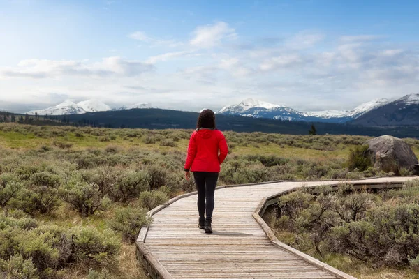 Adventurous Woman Caminhadas Calçadão Paisagem Americana Yellowstone National Park Wyoming — Fotografia de Stock