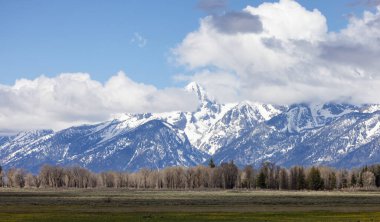 Amerikan arazisindeki ağaçlar, topraklar ve dağlar. Bahar sezonu. Grand Teton Ulusal Parkı. Wyoming, Birleşik Devletler. Doğa Arkaplanı.