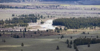 Trees, Land, river and Mountains in American Landscape. Spring Season. Grand Teton National Park. Wyoming, United States. Nature Background.