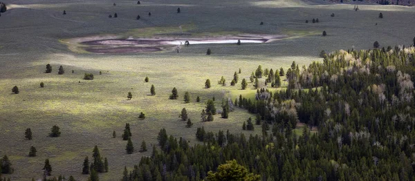 Fák Föld Hegyek Amerikai Tájban Tavaszi Szezon Grand Teton Nemzeti — Stock Fotó