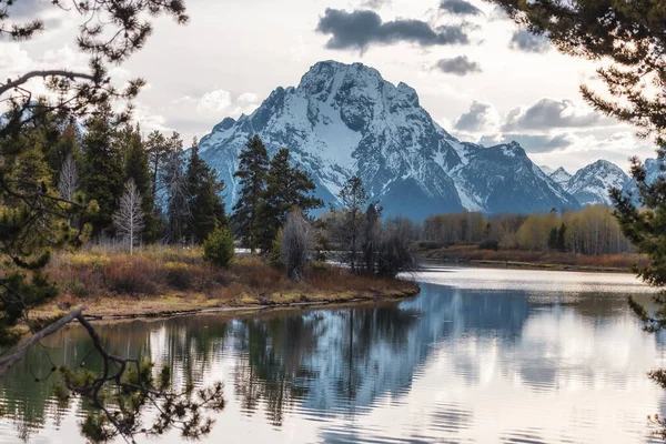 River Surrounded Trees Mountains American Landscape Snake River Oxbow Bend — Fotografia de Stock