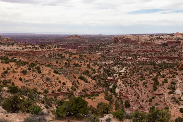 Scenic American Landscape Red Rock Mountains Desert Canyon Spring Season — Stock Photo, Image