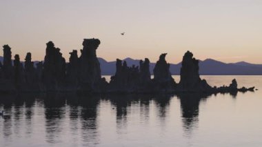 Mono Gölü 'nde Tufa kuleleri kaya oluşumu. Güneşli Gündoğumu. Lee Vining, Kaliforniya, Amerika Birleşik Devletleri 'nde. Doğa Arkaplanı. Yavaş Hareket