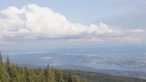 Colorful Sunset Tree Top Mountain Spring Season Taken Grouse Mountain — Wideo stockowe