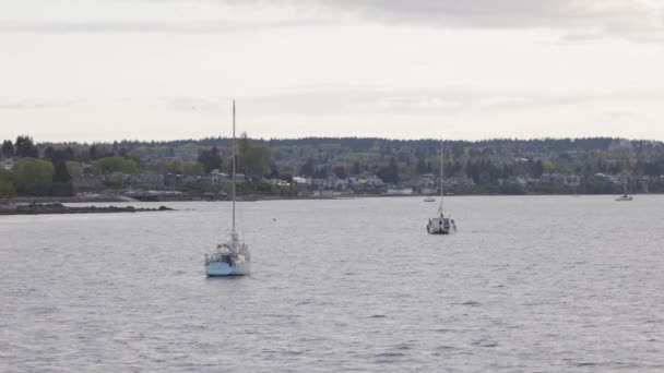 Downtown Vancouver British Columbia Canada May 2022 Sail Boats Kits — Vídeo de stock