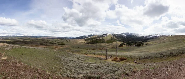 Trees Mountain American Landscape Yellowstone National Park Wyoming United States — стоковое фото