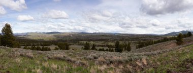 Amerika 'da Ağaçlar ve Dağ. Yellowstone Ulusal Parkı, Wyoming. Birleşik Devletler. Doğa Arkaplanı. Panorama