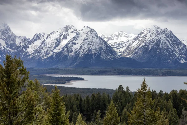 Lake Surrounded Trees Mountains American Landscape Spring Season Jackson Lake — Stockfoto