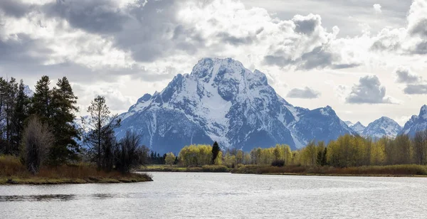 Fiume Circondato Alberi Montagne Nel Paesaggio Americano Snake River Oxbow — Foto Stock