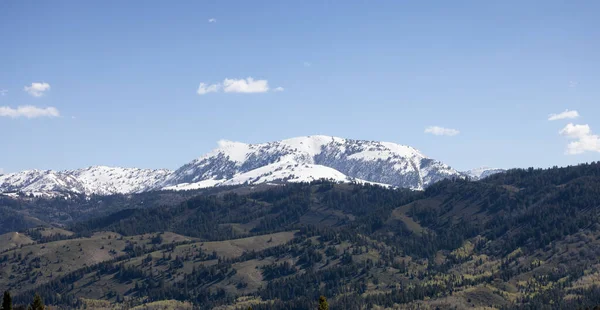 Green Trees Mountains American Landscape Wyoming United States America Nature — ストック写真