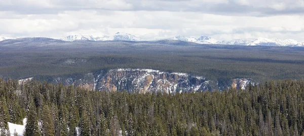 Green Field River Mountain American Landscape Yellowstone National Park Wyoming — ストック写真