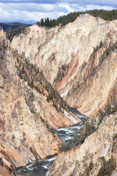 Скелястий Каньйон Річка Американському Ландшафті Великий Каньйон Єллоустона Єллоустонський Національний — стокове фото
