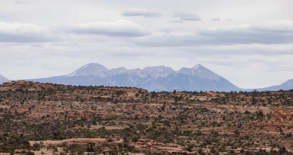 Scenic American Landscape Red Rock Mountains Desert Canyon Spring Season — Stockfoto