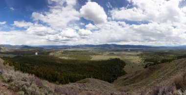 Trees, Land and Mountains in American Landscape. Spring Season. Grand Teton National Park. Wyoming, United States. Nature Background Panorama