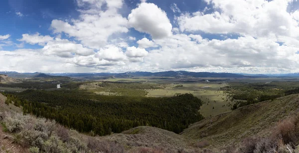 Trees Land Mountains American Landscape Spring Season Grand Teton National — Fotografia de Stock