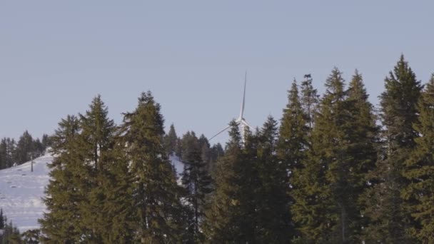 Colorido Atardecer Sobre Cima Del Árbol Montaña Temporada Primavera Tomado — Vídeos de Stock
