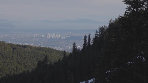 Colorful Sunset Tree Top Mountain Spring Season Taken Grouse Mountain — Wideo stockowe