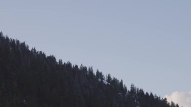 Dağdaki ağacın tepesinde renkli günbatımı. Bahar sezonu. Grouse Dağı, Kuzey Vancouver, British Columbia, Kanada 'da çekildi. Doğa Arkaplanı