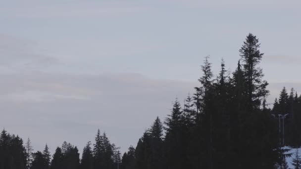 Colorful Sunset Tree Top Mountain Spring Season Taken Grouse Mountain — Stock Video