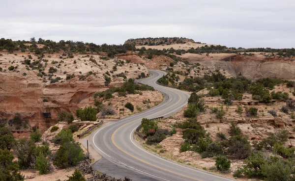 Scenic Road Surrounded Red Rock Mountains Desert Spring Season Canyonlands — 스톡 사진