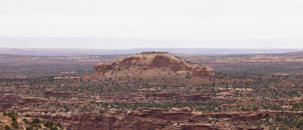 Scenic American Landscape Red Rock Mountains Desert Canyon Spring Season —  Fotos de Stock