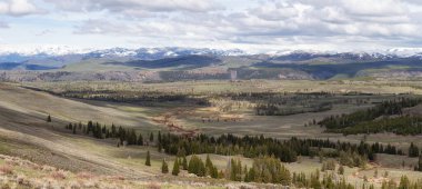 Amerika 'da Ağaçlar ve Dağ. Yellowstone Ulusal Parkı, Wyoming. Birleşik Devletler. Doğa Arkaplanı. Panorama