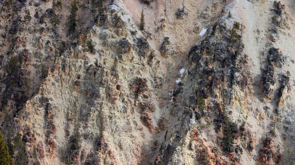 Rocky Canyon American Landscape Grand Canyon Yellowstone Parc National Yellowstone — Photo