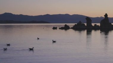 Tufa towers rock formation in Mono Lake. Sunny Sunrise. Located in Lee Vining, California, United States of America. Nature Background. Slow Motion