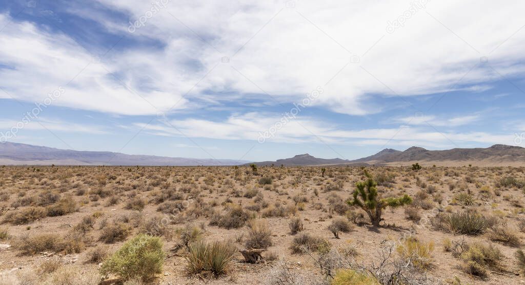 Desert Scene in American Nature Landscape. Cathedral Gorge State Park, Panaca, Nevada, United States of America. Background