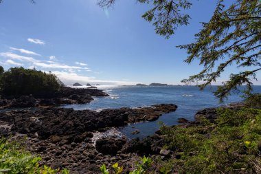 Trees and bushes overlooking Rocky Coast and Ocean. Ancient Cedars Loop Trail. Ucluelet, British Columbia, Canada. Adventure Travel.