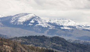 Green field, river and Mountain in the American Landscape. Yellowstone National Park, Wyoming. United States. Nature Background.