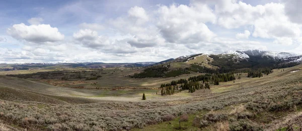 Trees Mountain American Landscape Yellowstone National Park Wyoming United States — Fotografia de Stock