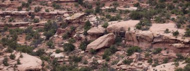 Scenic American Landscape and Red Rock Mountains in Desert Canyon. Spring Season. Canyonlands National Park. Utah, United States. Nature Background.