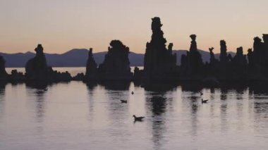 Tufa towers rock formation in Mono Lake. Sunny Sunrise. Located in Lee Vining, California, United States of America. Nature Background. Slow Motion
