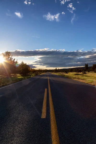 Scenic Road Pond Surrounded Grass Trees Countryside Sunset Summer Season — Stock Fotó