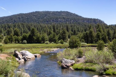 Flowing River surrounded by Rocks, Trees, Bushes and Mountains. Summer Season. Sorensens, California, United States. Nature Background.