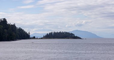 Islands with Trees and Lighthouse surrounded by Homes on a Cloudy Day. Summer Season. Nanaimo., Vancouver Island, British Columbia, Canada. City Background.