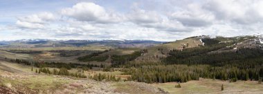 Amerika 'da Ağaçlar ve Dağ. Yellowstone Ulusal Parkı, Wyoming. Birleşik Devletler. Doğa Arkaplanı. Panorama