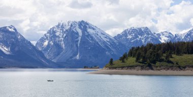 Lake surrounded by Trees and Mountains in American Landscape. Spring Season. Jackson Lake, Grand Teton National Park. Wyoming, United States. Nature Background.