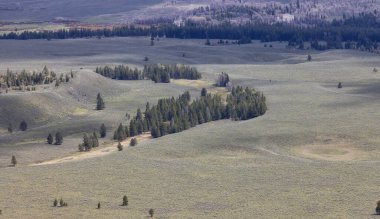 Amerikan arazisindeki ağaçlar, topraklar ve dağlar. Bahar sezonu. Grand Teton Ulusal Parkı. Wyoming, Birleşik Devletler. Doğa Arkaplanı.