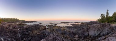 Rocky Coastline on the West Coast of Pacific Ocean. Twilight Sunrise Sky. Ucluelet, Vancouver Island, British Columbia, Canada. Nature Background Panorama