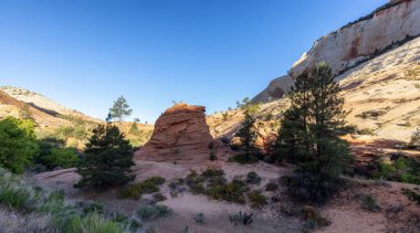 Amerikan Dağları manzarası. Güneşli Sabah Gökyüzü. Zion Ulusal Parkı, Utah, Amerika Birleşik Devletleri. Doğa Arkaplanı