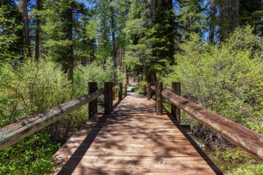 Wooden Bridge over River in Park surrounded by Bushes and Trees. Summer Season. Sugar Pine Point Beach, Tahoma, California, United States. Sugar Pine Point State Park. Nature Background.