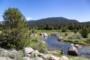Flowing River surrounded by Rocks, Trees, Bushes and Mountains. Summer Season. Sorensens, California, United States. Nature Background.