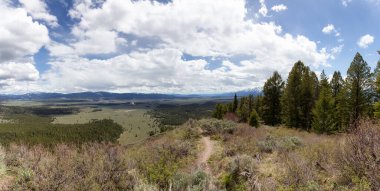 Trees, Land and Mountains in American Landscape. Spring Season. Grand Teton National Park. Wyoming, United States. Nature Background Panorama