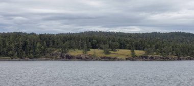 Islands surrounded by ocean and mountains. Summer Season. Gulf Islands near Vancouver Island, British Columbia, Canada. Canadian Landscape.