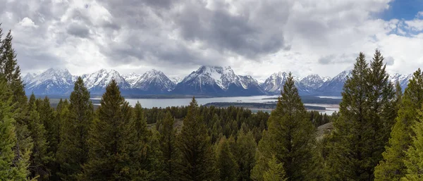 Trees, Land and Mountains in American Landscape. Spring Season. Grand Teton National Park. Wyoming, United States. Nature Background Panorama